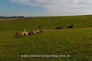 OS ARAGANOS   HERANÇAS 1984.00_02_46_11.Quadro017_cb61be352903b45acca2353fcec176ac4ea4f4e2.jpg